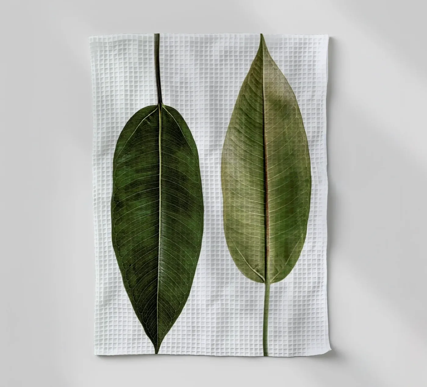 Leaf Study 5 theedoek van Shot By Clint