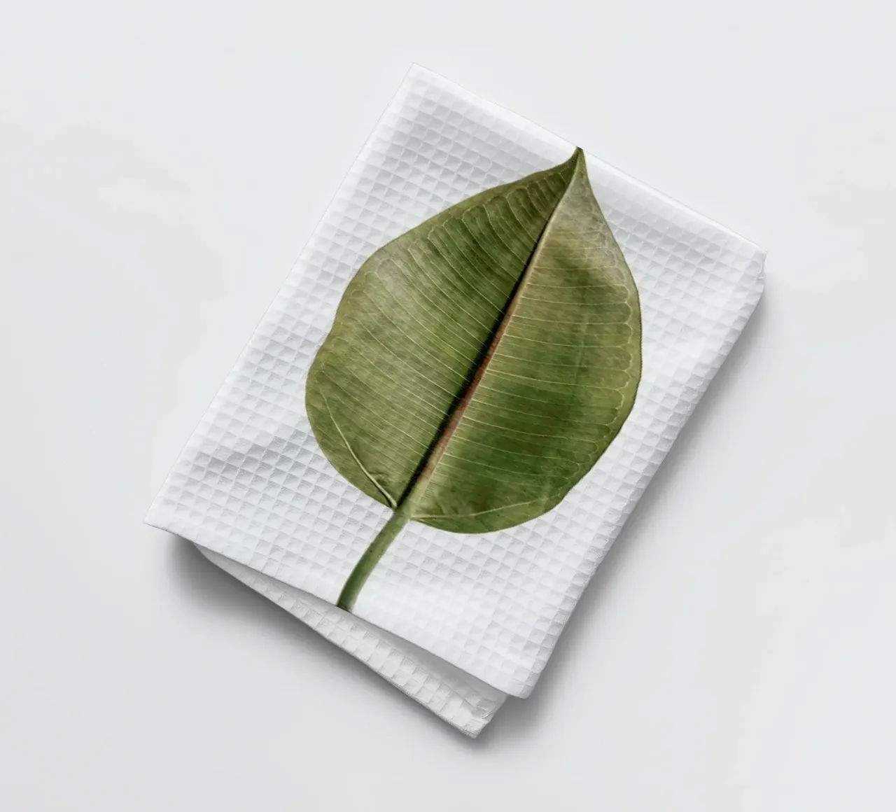 Leaf Study 5 Geschirrtuch von Shot By Clint