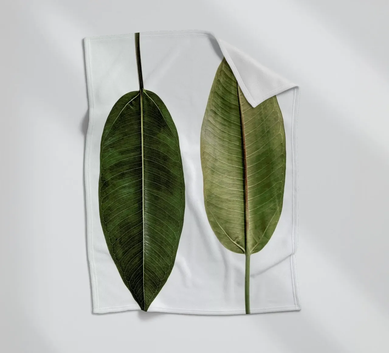 Leaf Study 5 Fleecedecke von Shot By Clint