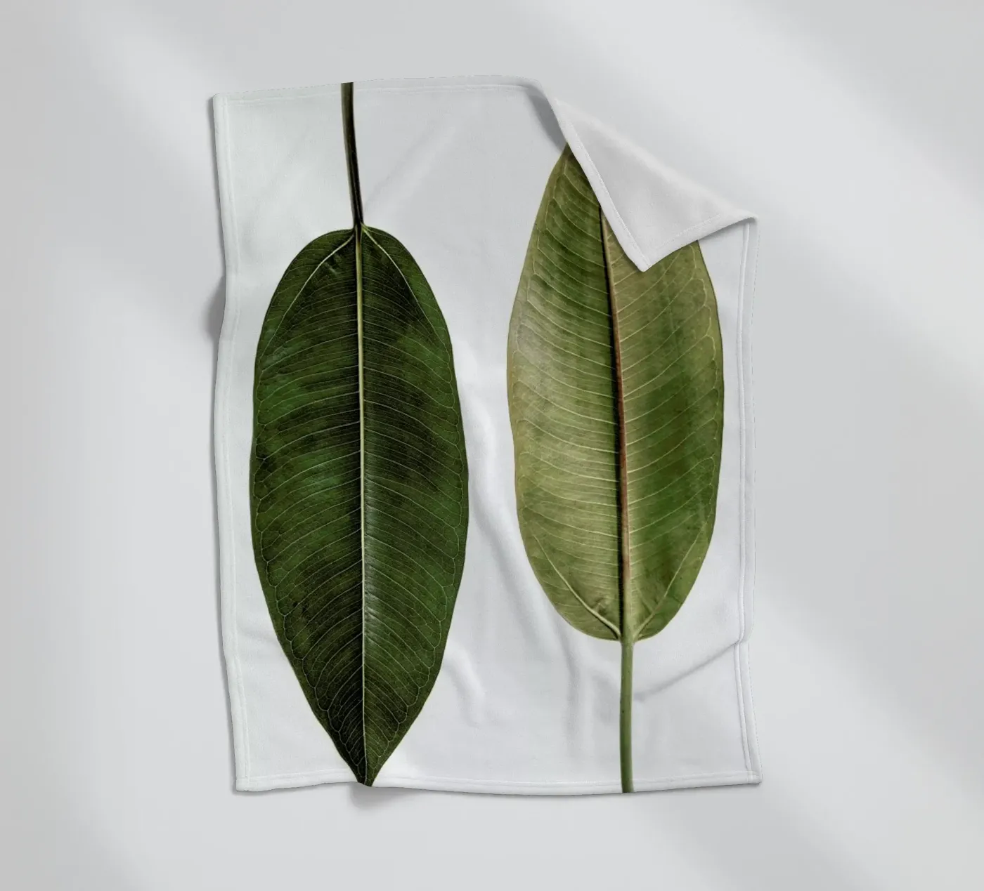 Leaf Study 5 Fleecedecke von Shot By Clint