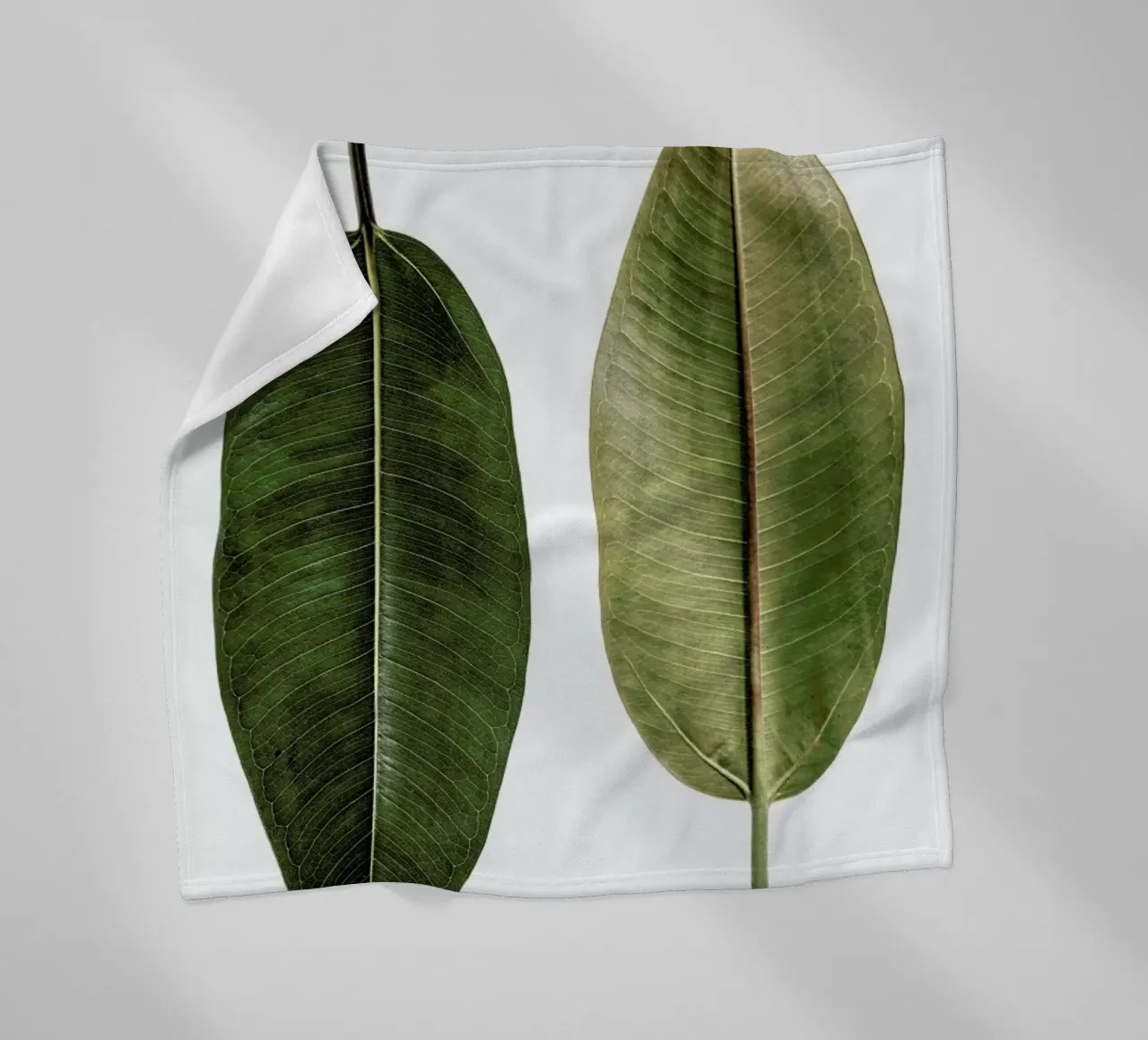 Leaf Study 5 Fleecedecke von Shot By Clint