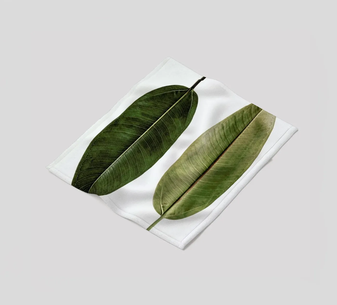 Leaf Study 5 Fleecedecke von Shot By Clint