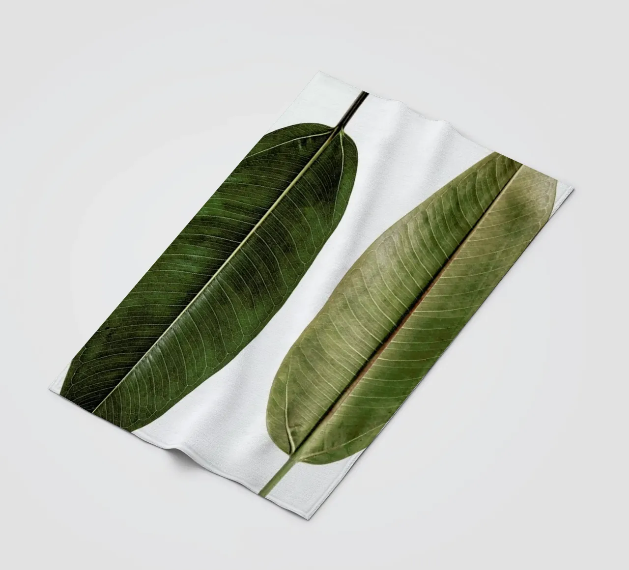 Leaf Study 5 Fleecedecke von Shot By Clint