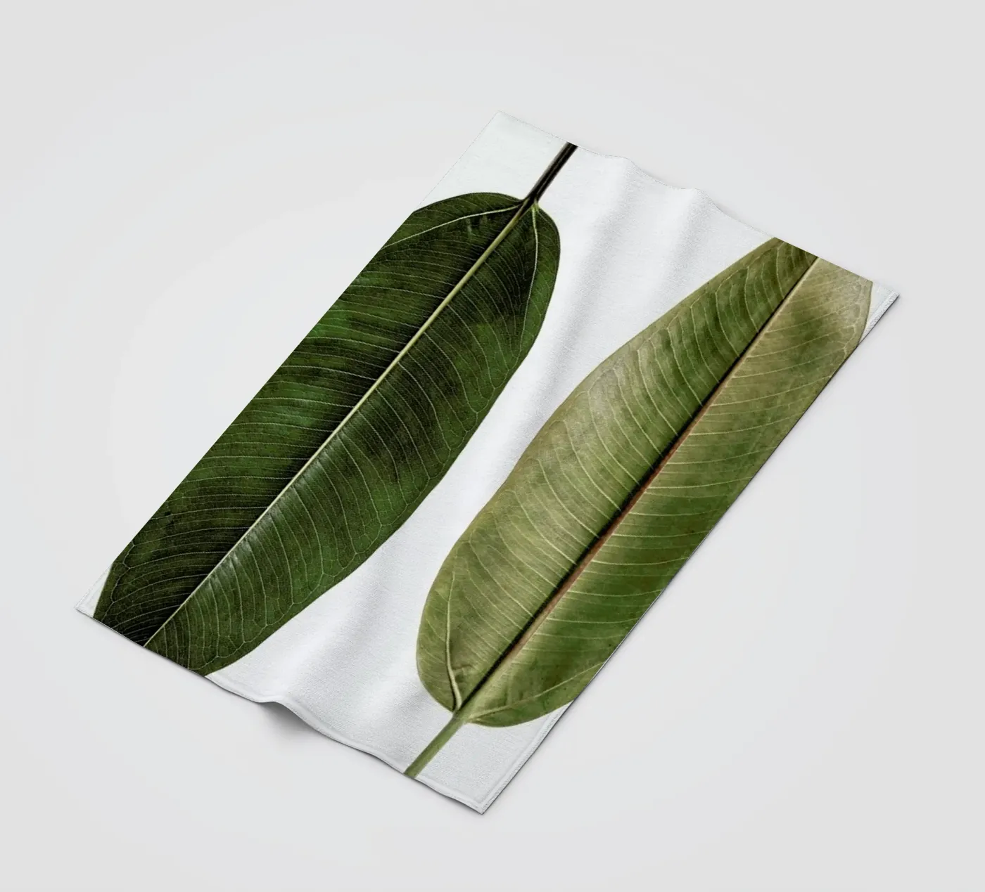 Leaf Study 5 Fleecedecke von Shot By Clint