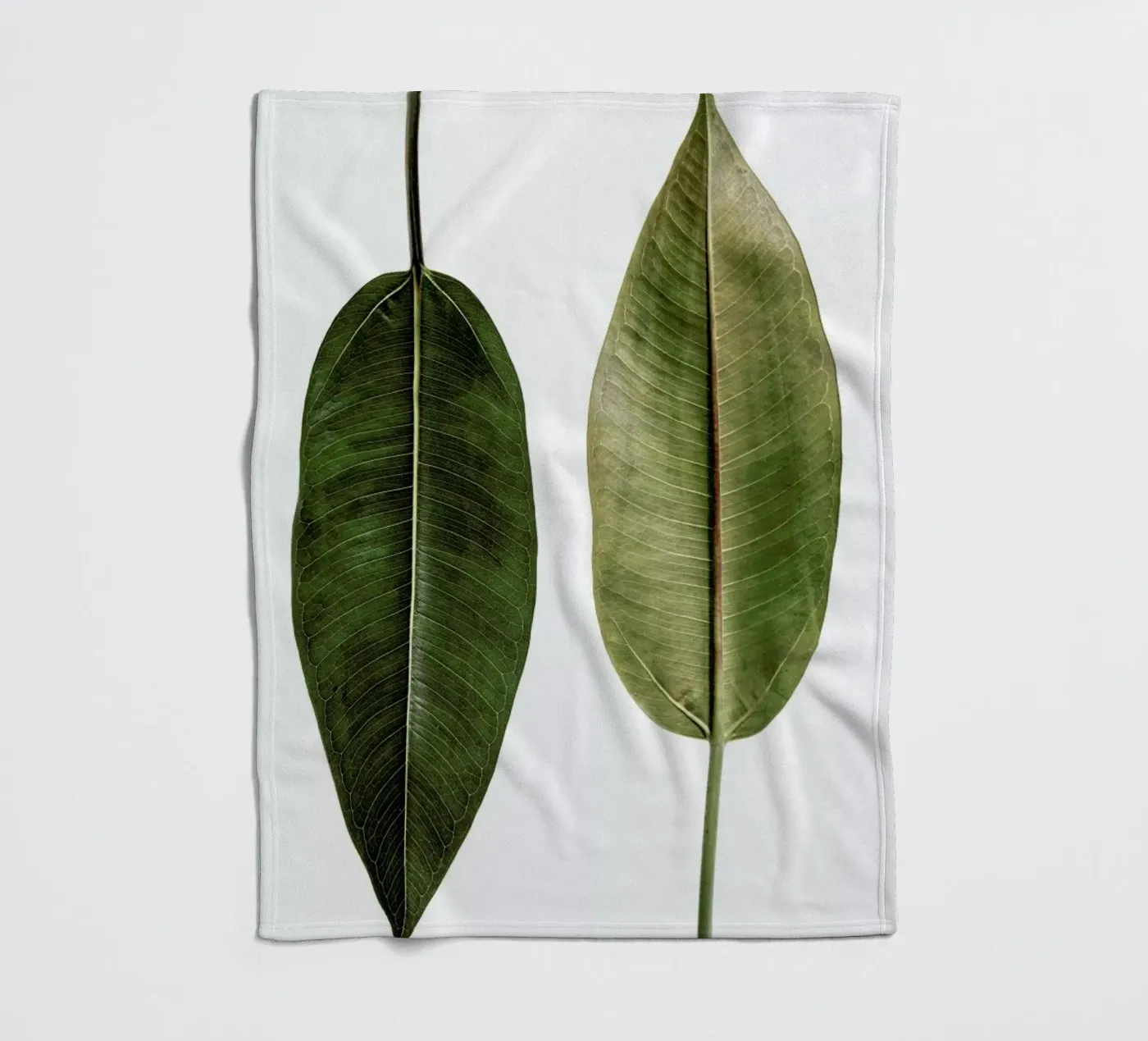 Leaf Study 5 Fleecedecke von Shot By Clint