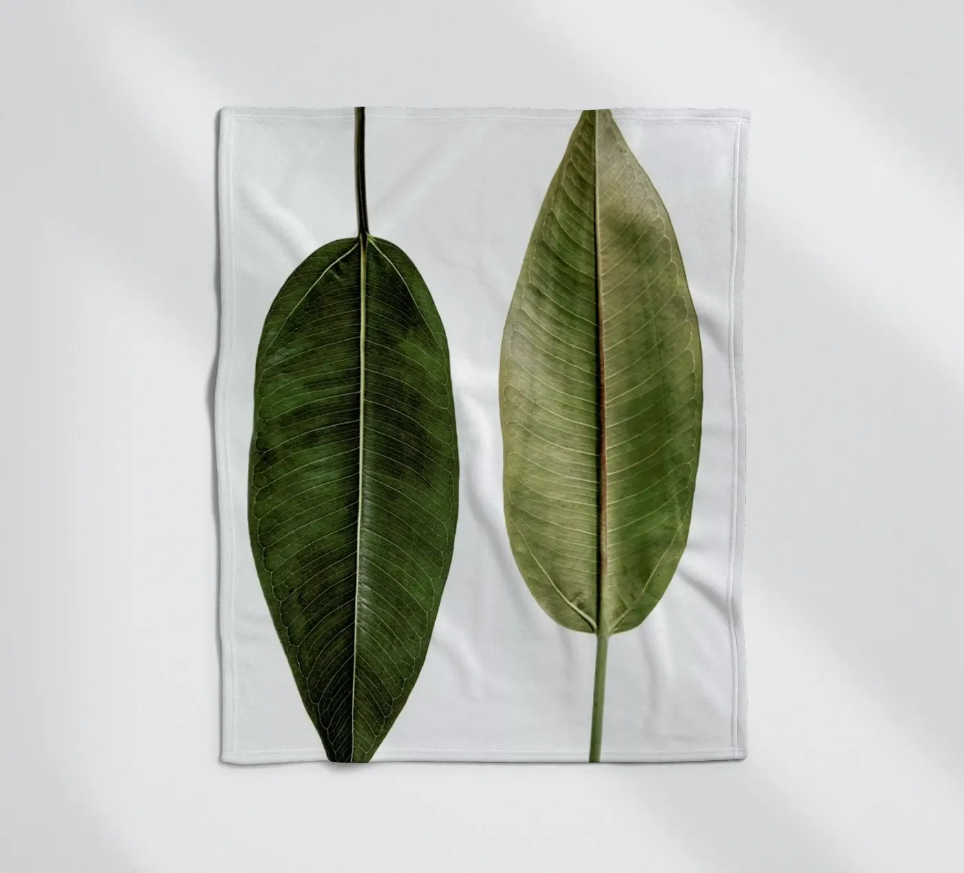 Leaf Study 5 Fleecedecke von Shot By Clint