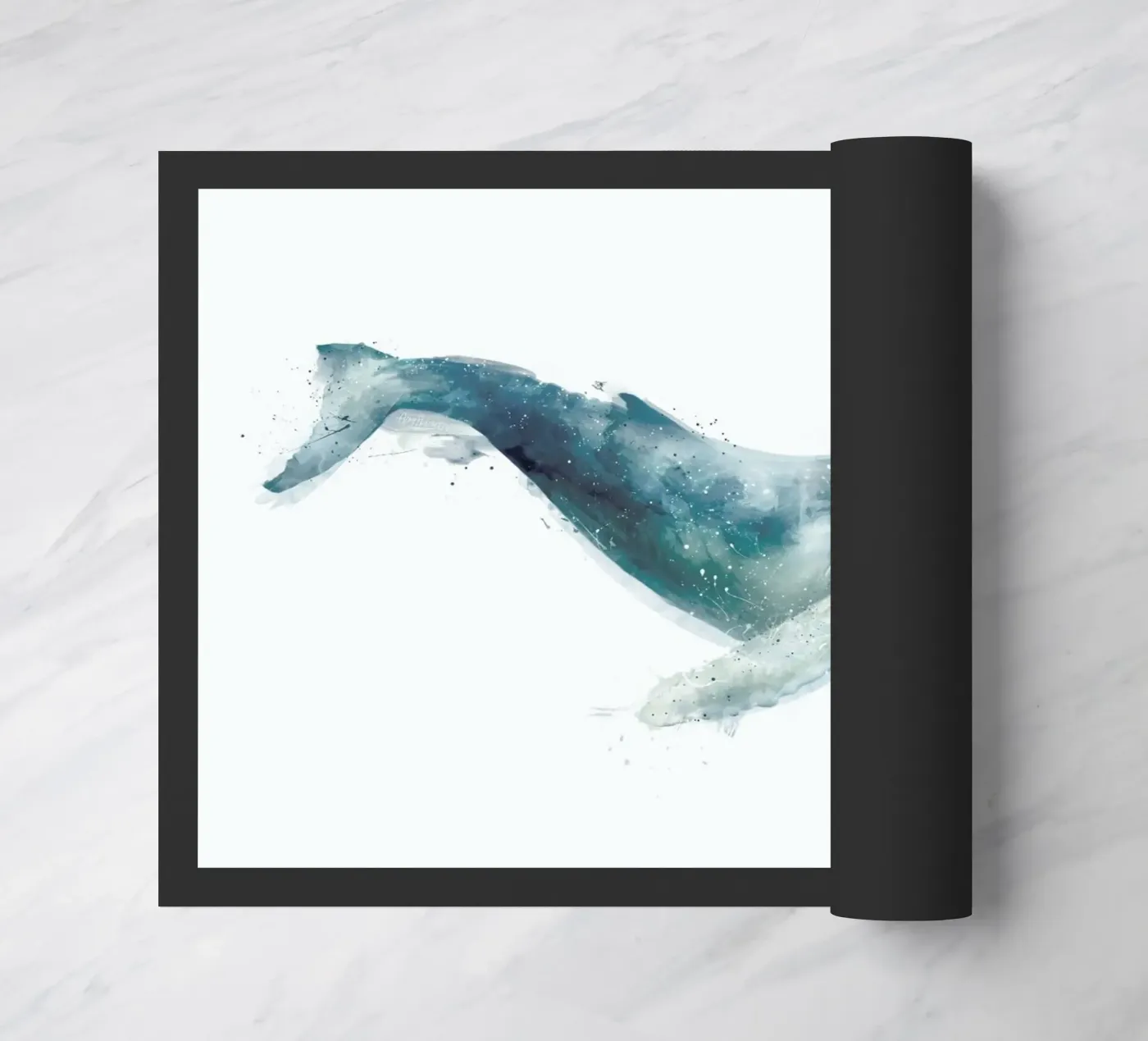Humpback Whale zerbino da Amy Hamilton