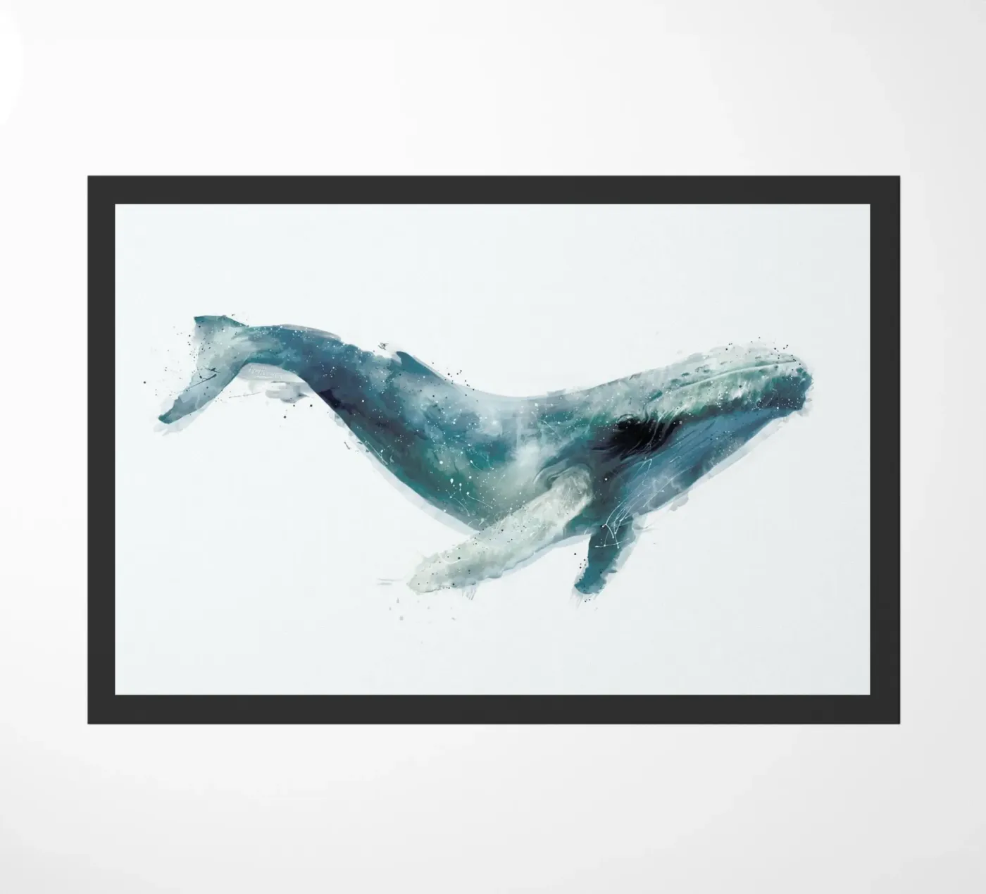 Humpback Whale zerbino da Amy Hamilton