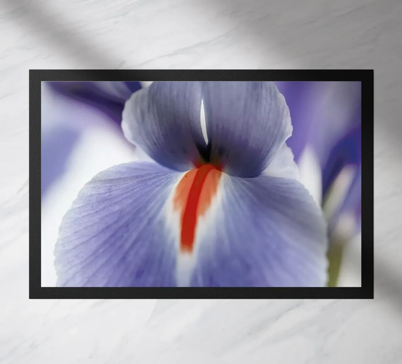 Lilly zerbino da Shot By Clint