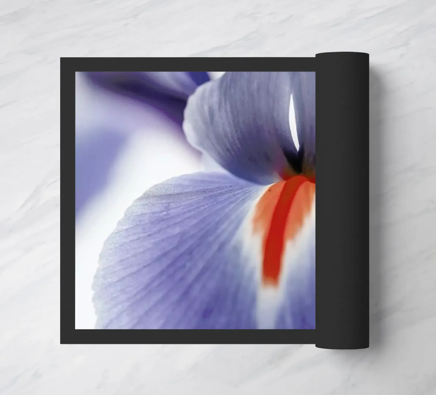 Lilly doormat by Shot By Clint