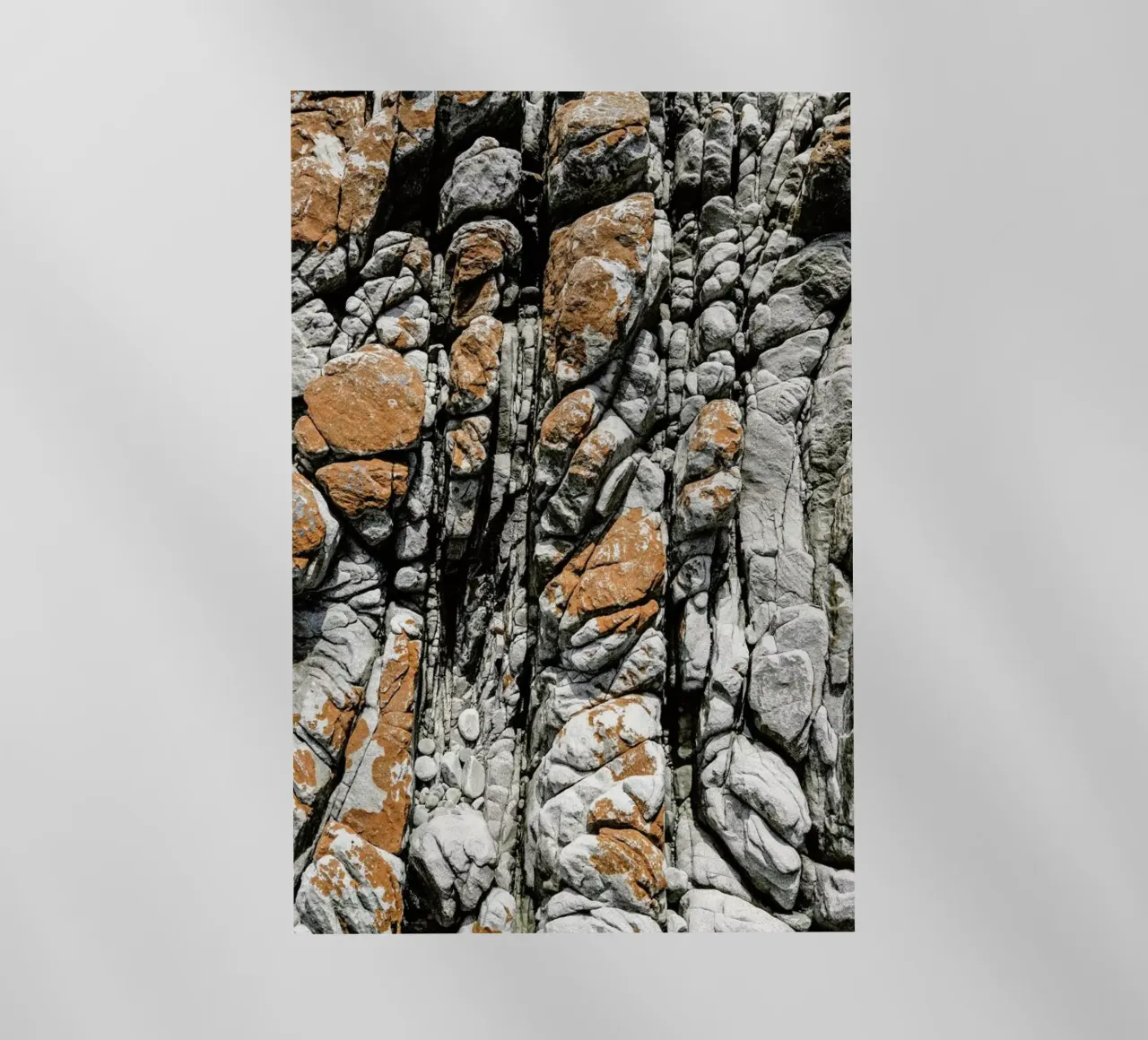 Meteor pellicola backlit da Shot By Clint