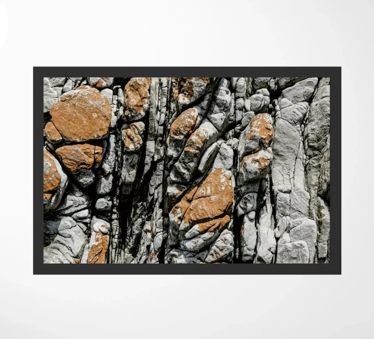 Meteor zerbino da Shot By Clint