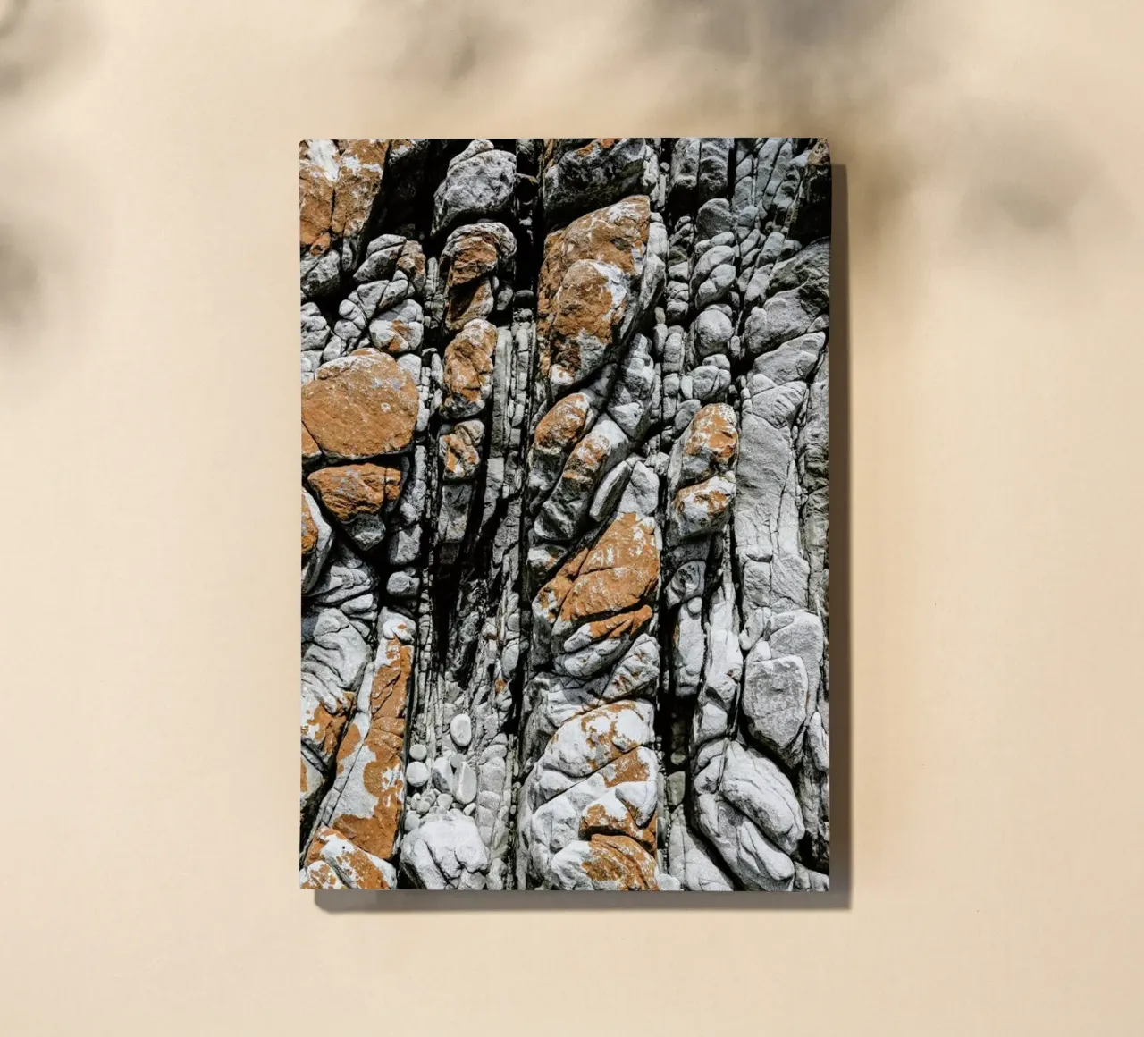 Meteor notebook by Shot By Clint