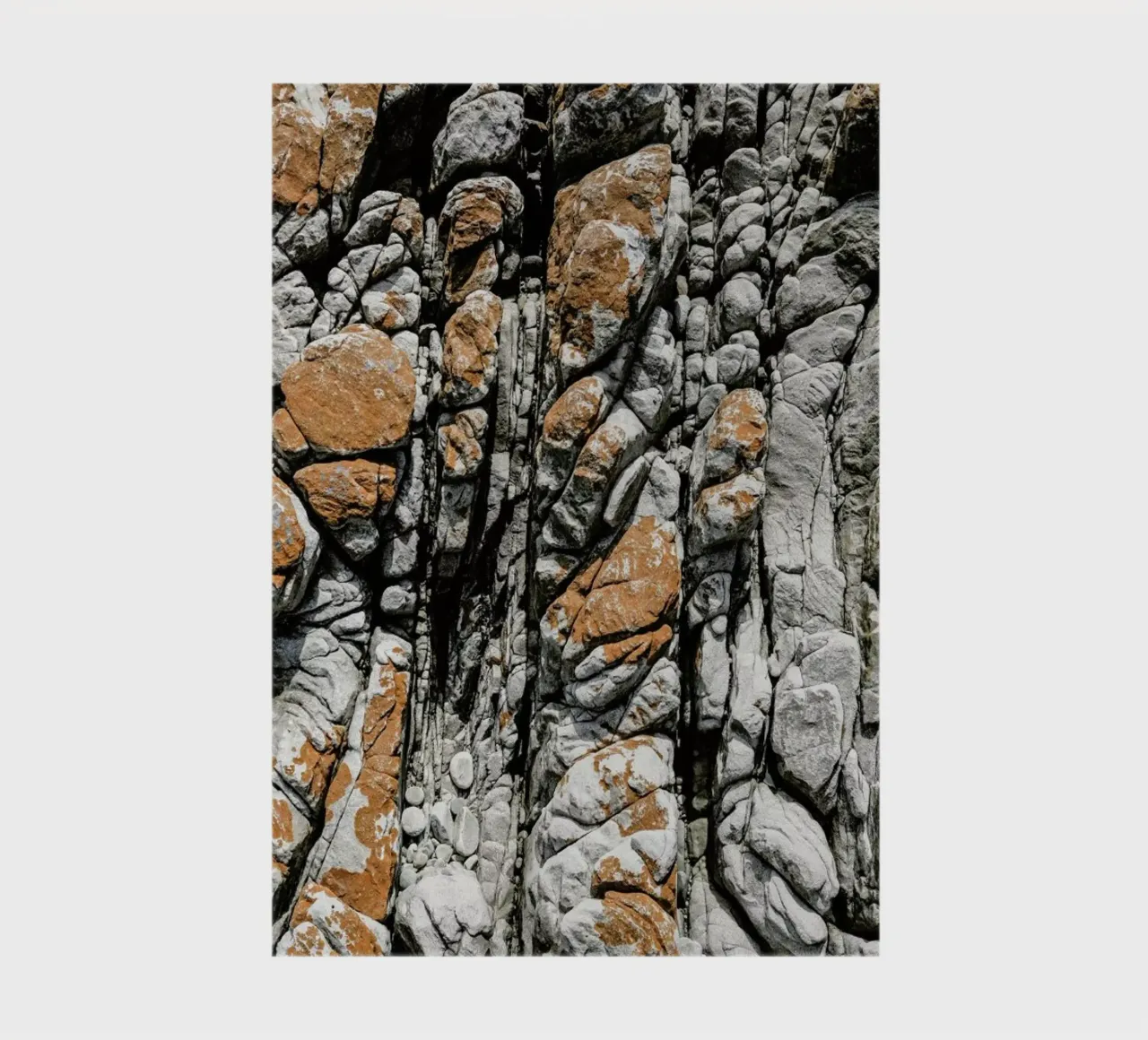 Meteor notebook by Shot By Clint