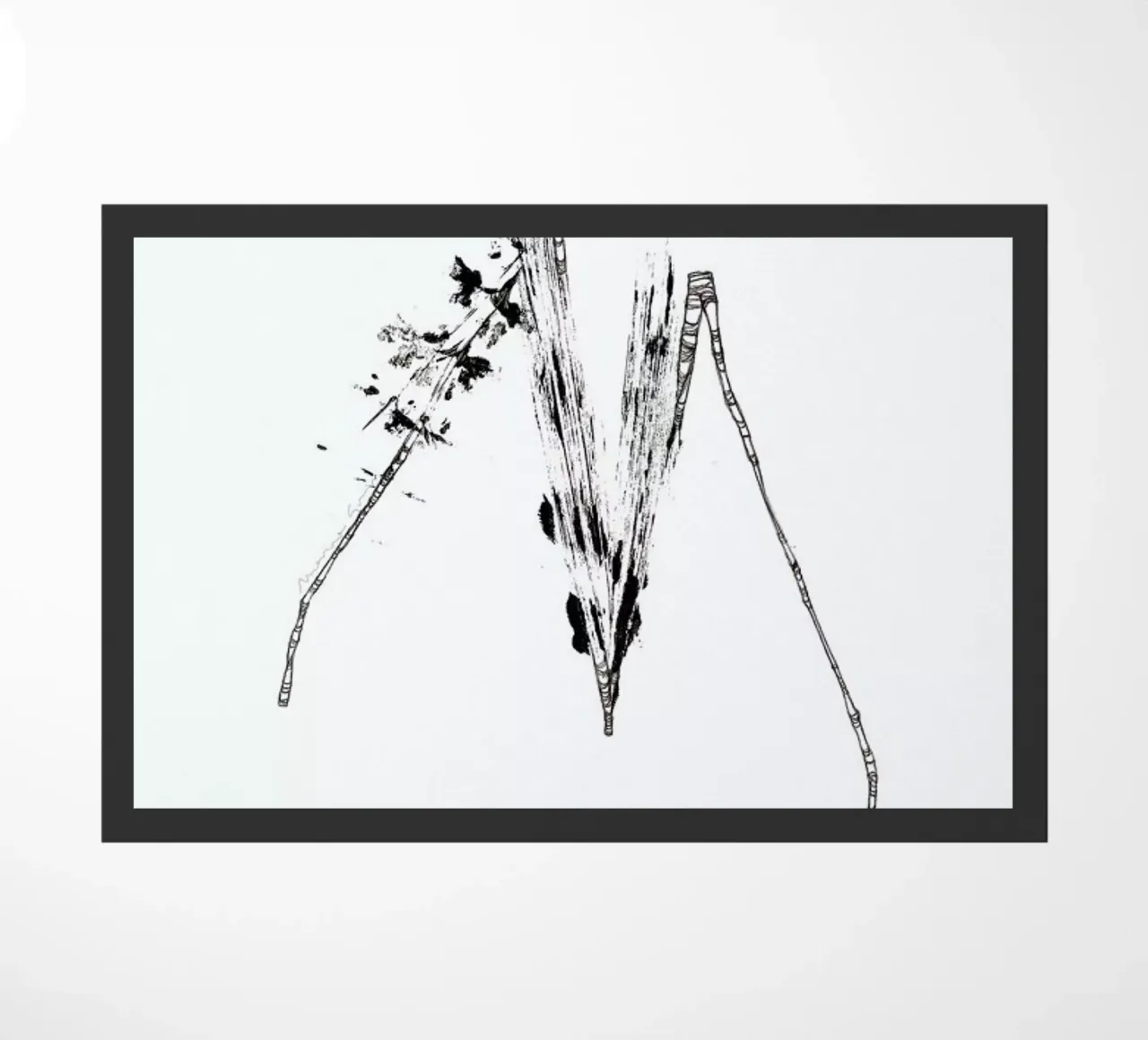 M zerbino da Marina Guiu