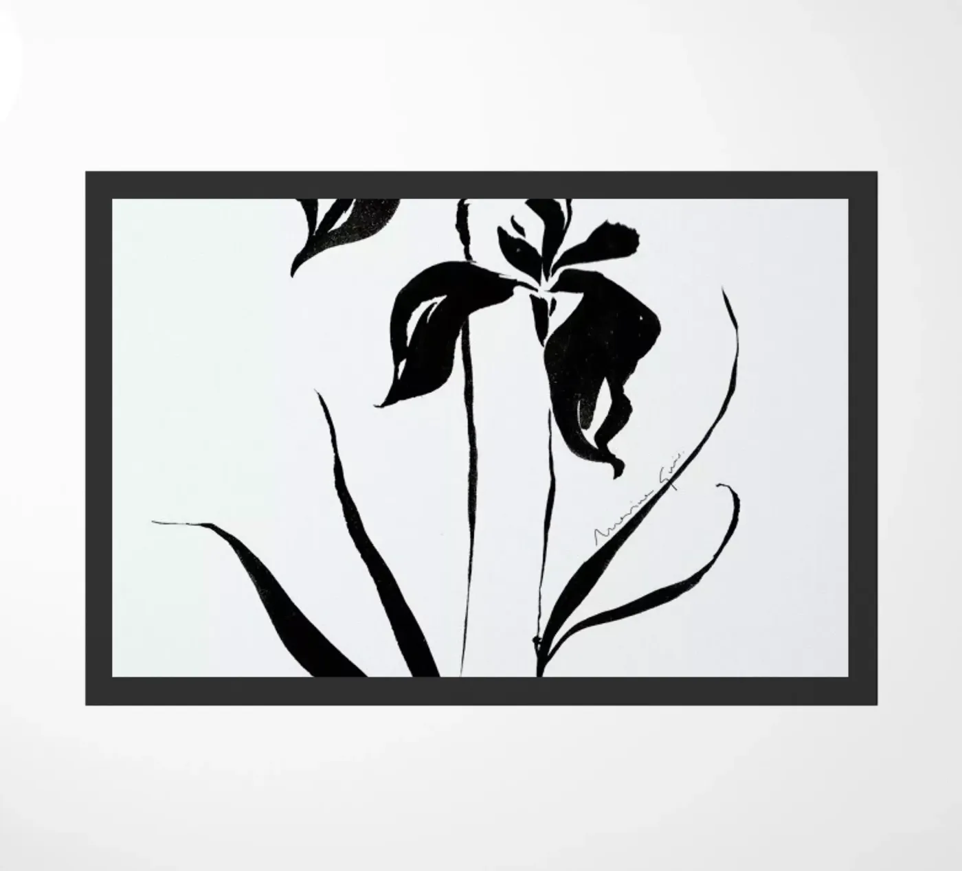 Orchid 4 zerbino da Marina Guiu Almenara