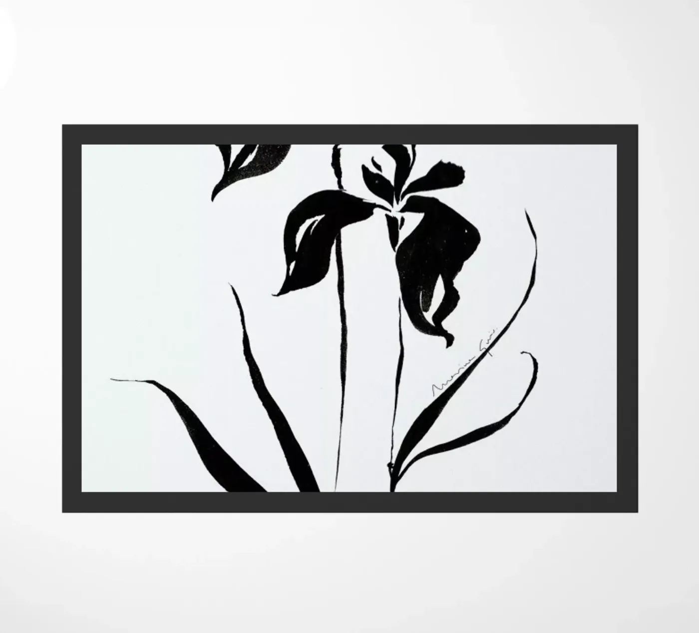 Orchid 4 zerbino da Marina Guiu