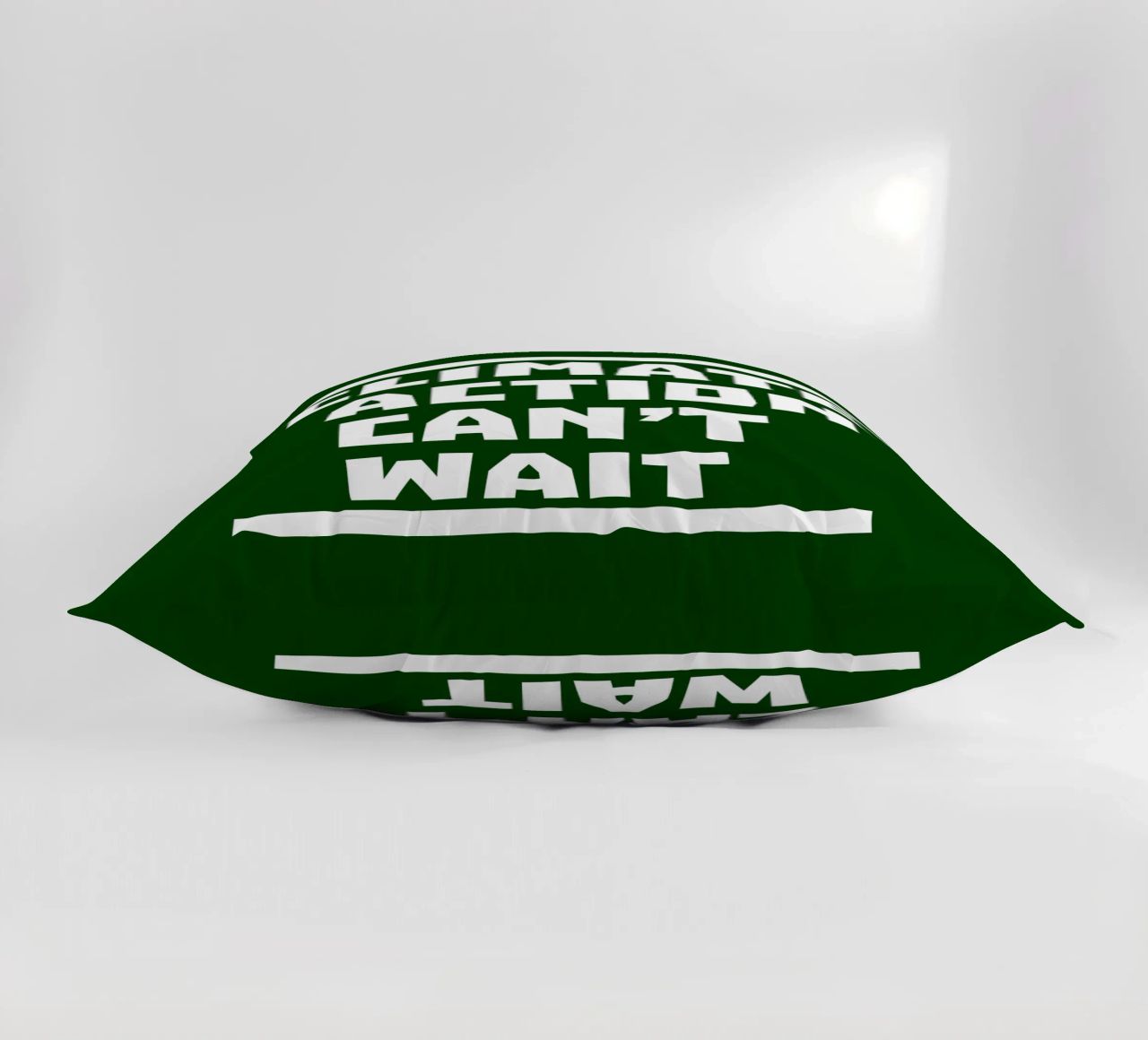 Climate action can't wait cuscino da greencitiesmovement