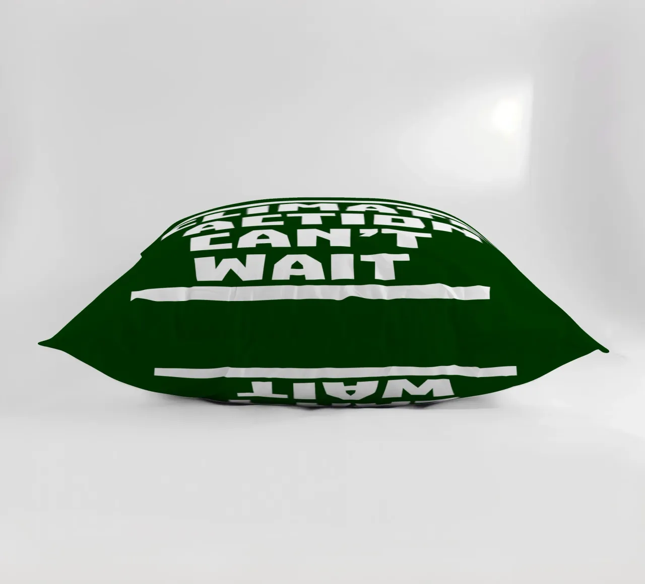 Climate action can't wait cojín de greencitiesmovement
