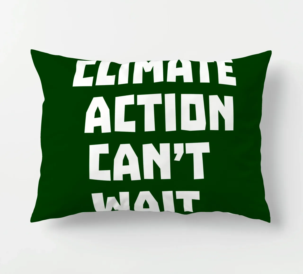 Climate action can't wait coussin de greencitiesmovement