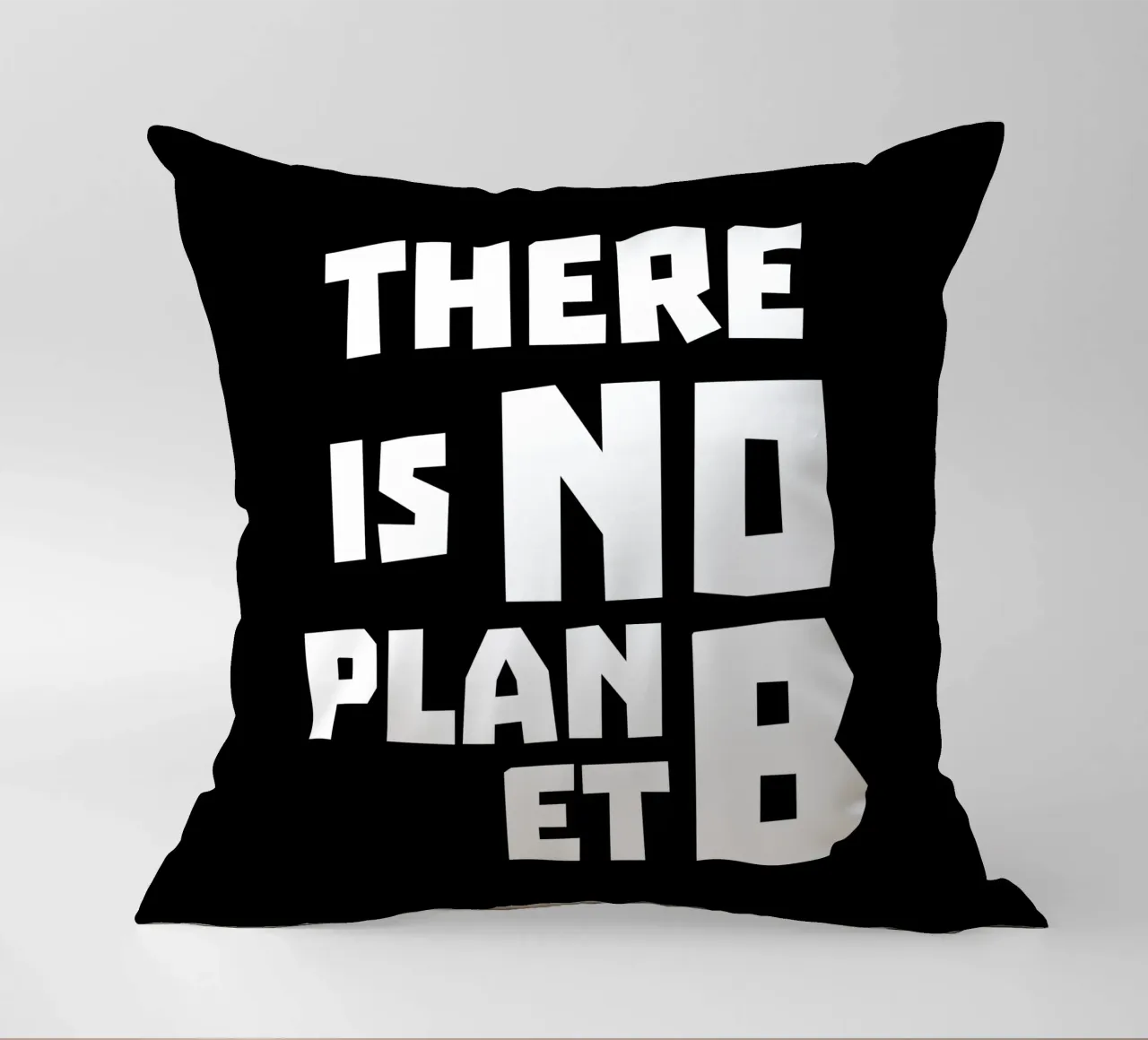 There is no planet b kussen van greencitiesmovement