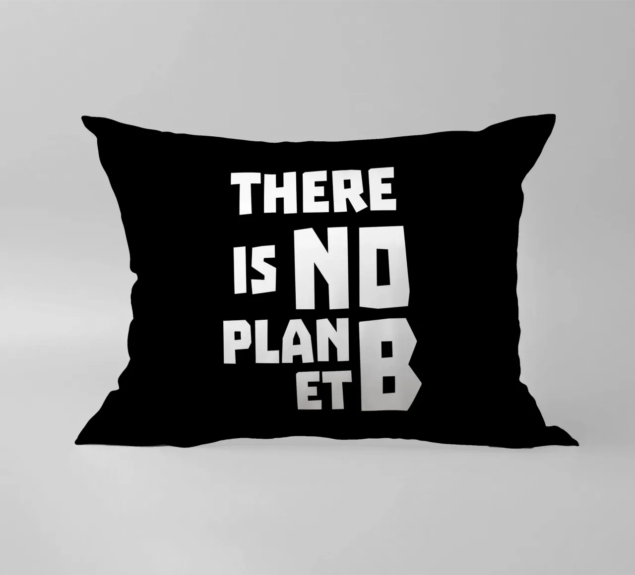 There is no planet b kussen van greencitiesmovement
