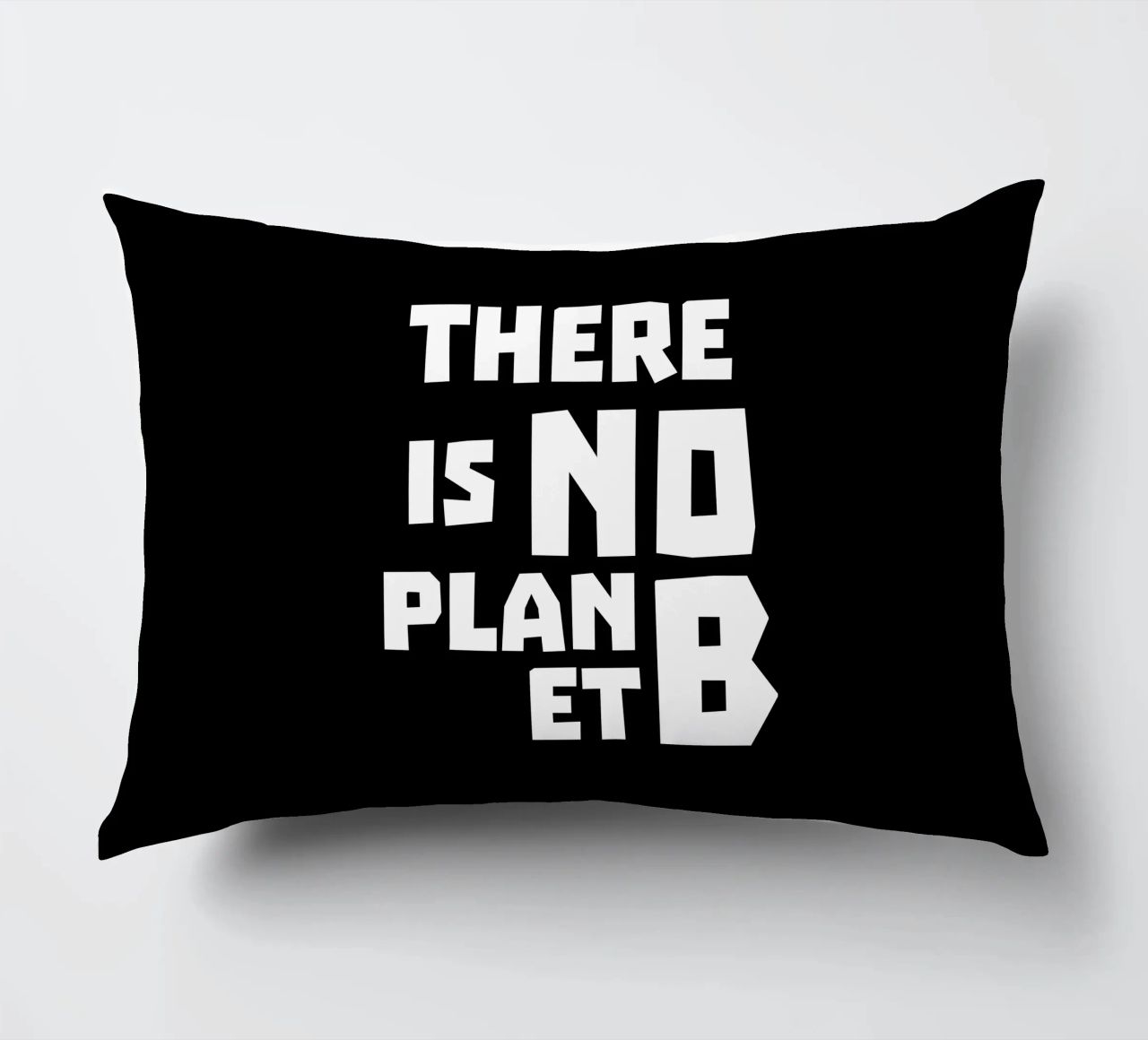 There is no planet b cuscino da greencitiesmovement