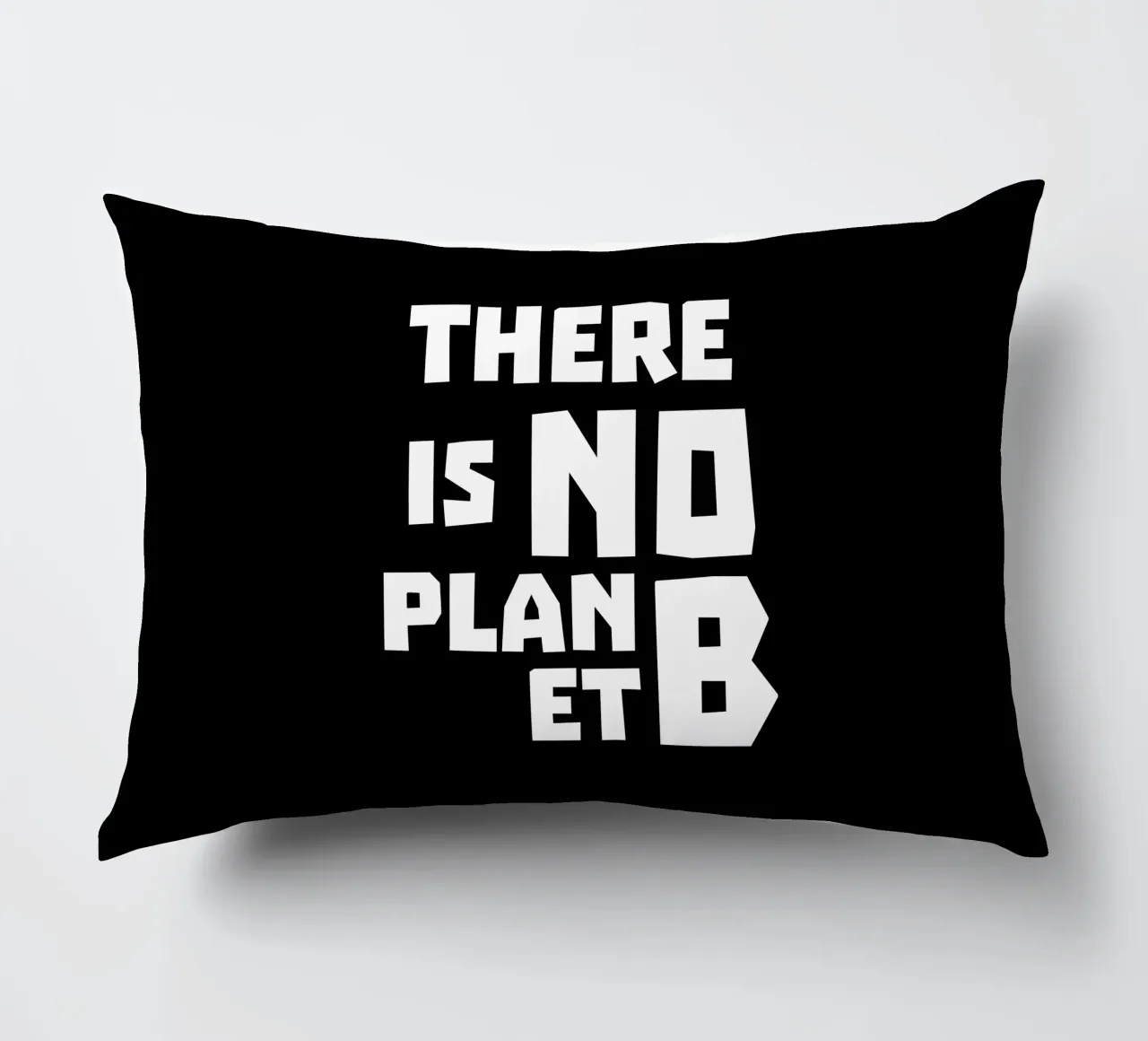 There is no planet b kussen van greencitiesmovement
