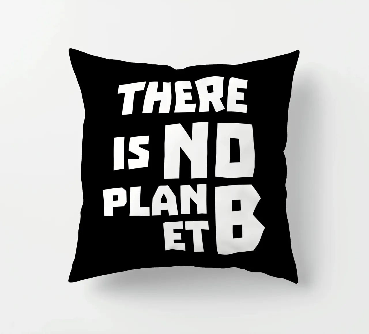 There is no planet b kussen van greencitiesmovement