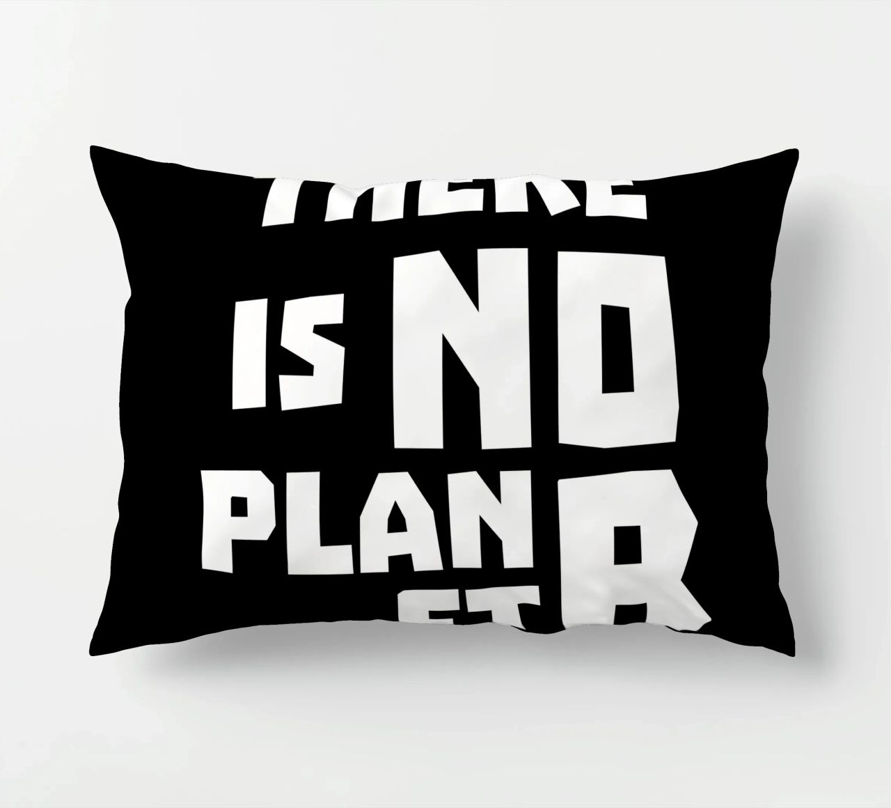 There is no planet b cuscino da greencitiesmovement