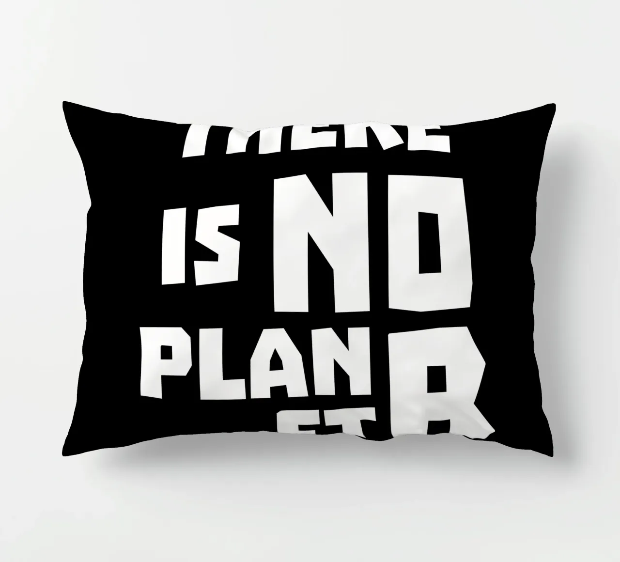 There is no planet b kussen van greencitiesmovement