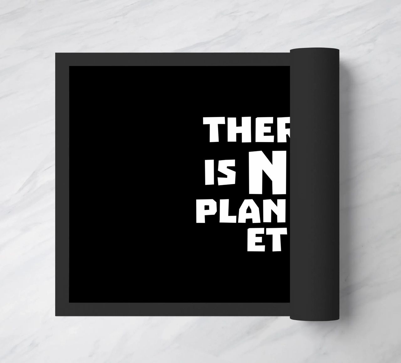 There is no planet b zerbino da greencitiesmovement