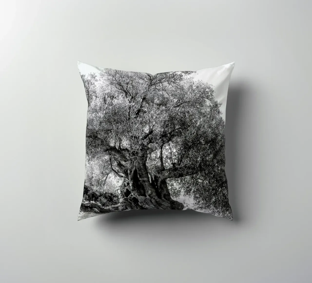 Olea cuscino da Shot By Clint
