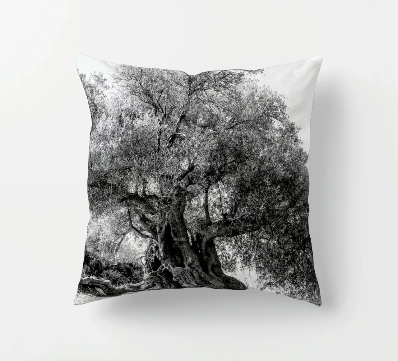 Olea cuscino da Shot By Clint