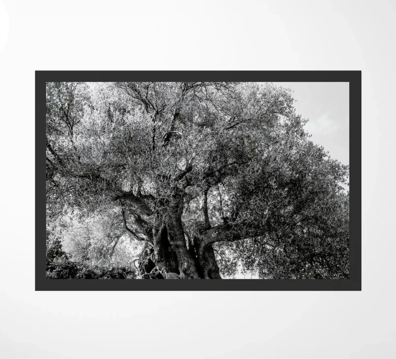 Olea Fußmatte von Shot By Clint