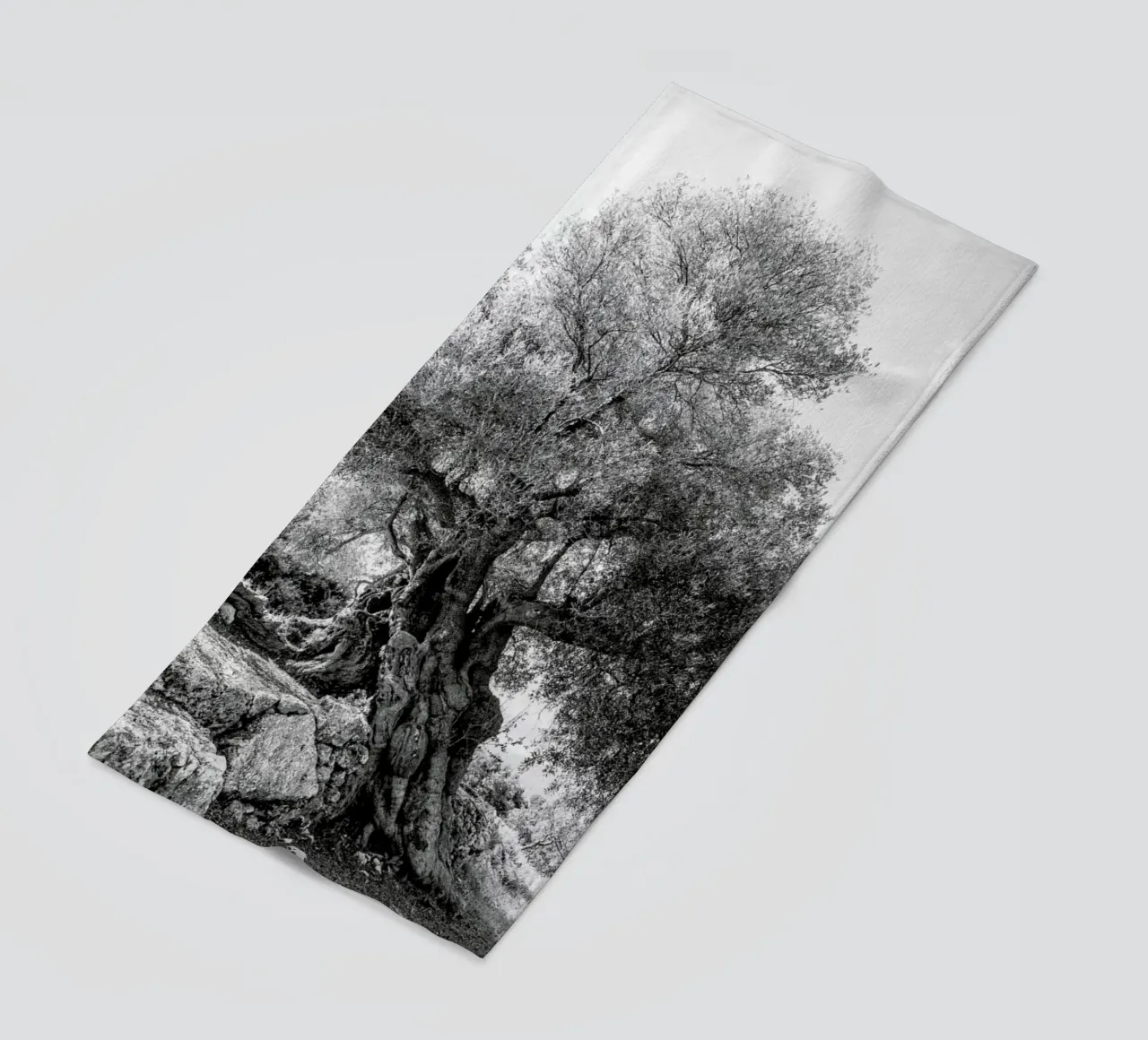 Olea telo mare da Shot By Clint