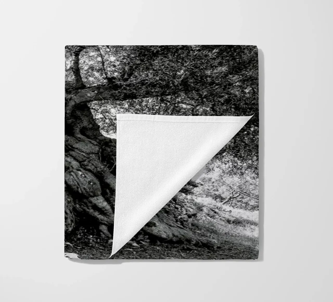 Olea telo mare da Shot By Clint