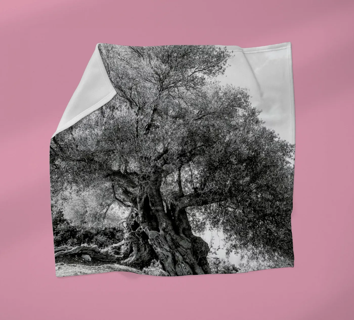 Olea fleece blanket by Shot By Clint