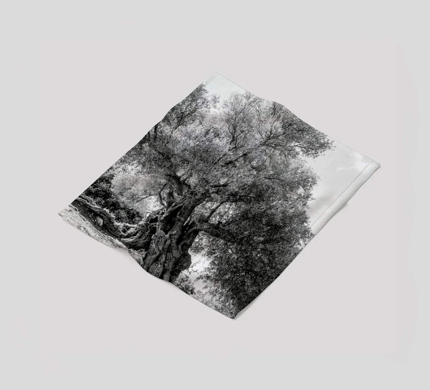 Olea fleece blanket by Shot By Clint