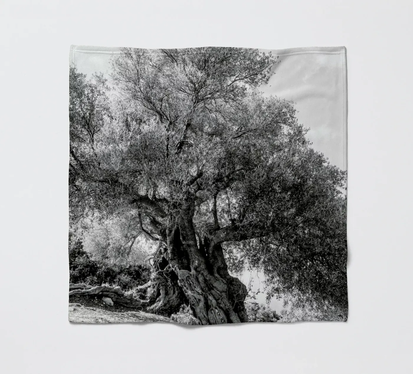 Olea Fleecedecke von Shot By Clint