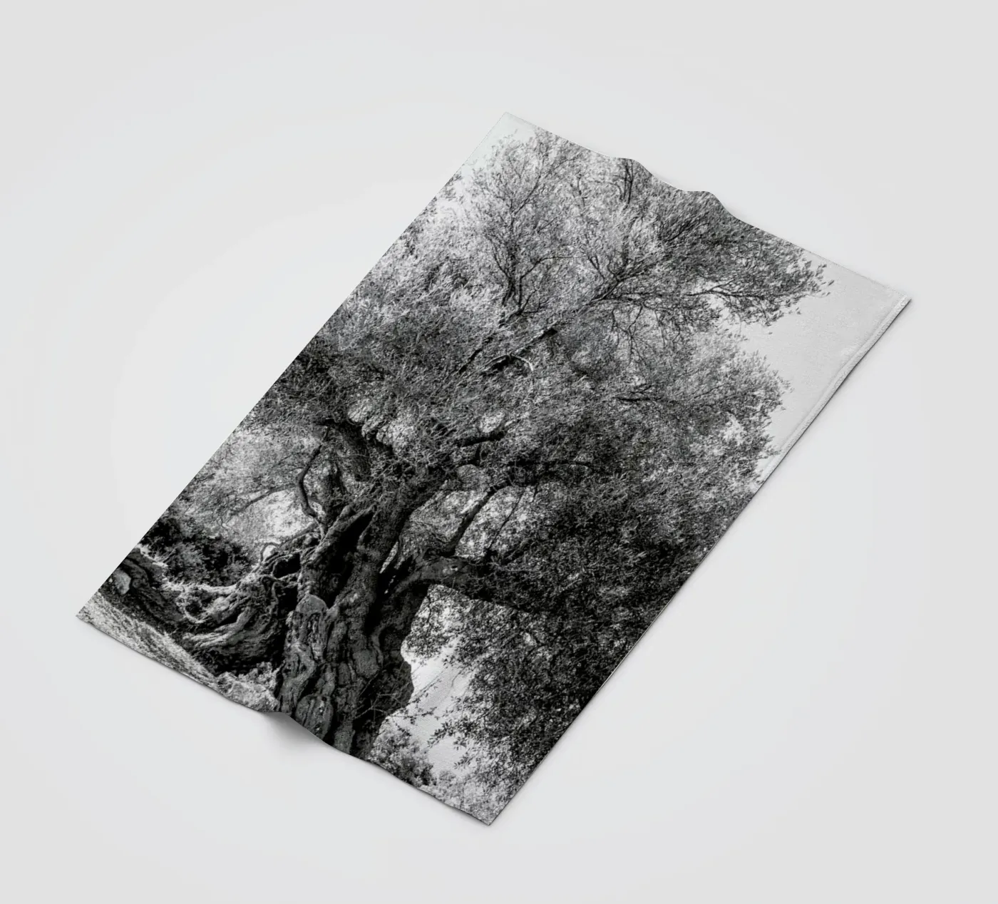 Olea Fleecedecke von Shot By Clint