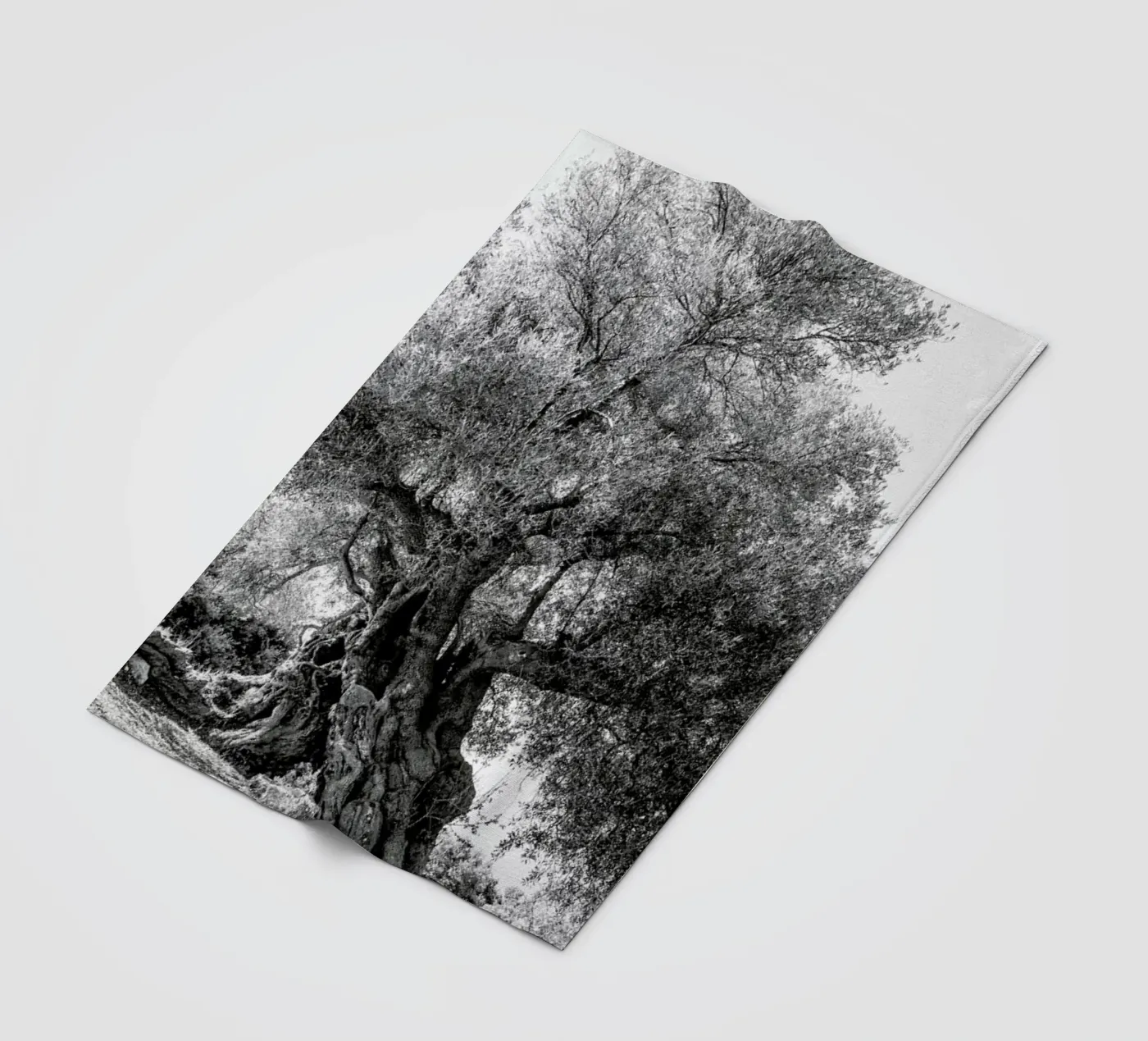 Olea fleece blanket by Shot By Clint