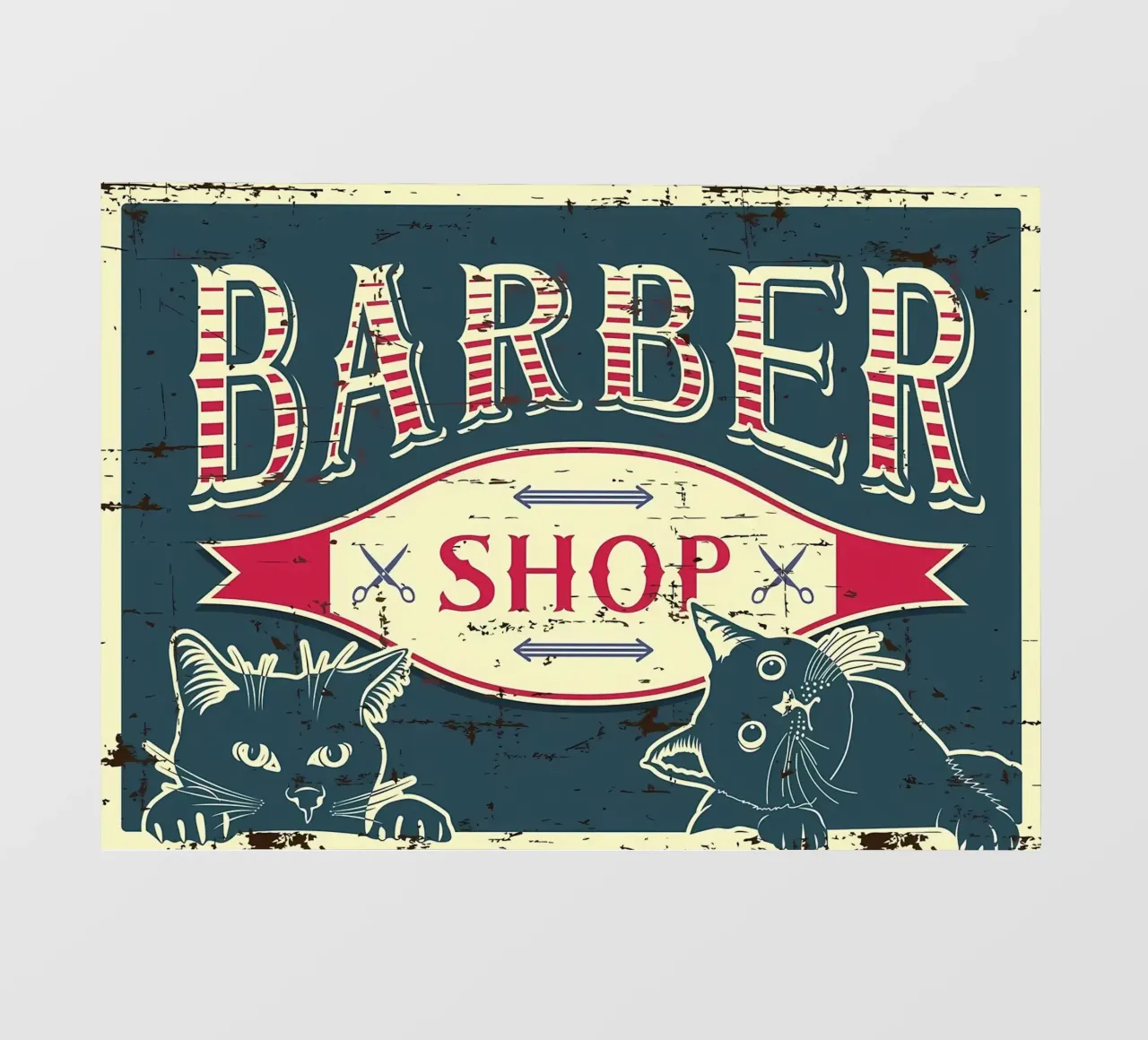 Barbiere Gatti telo in pvc da Monique A Hooper