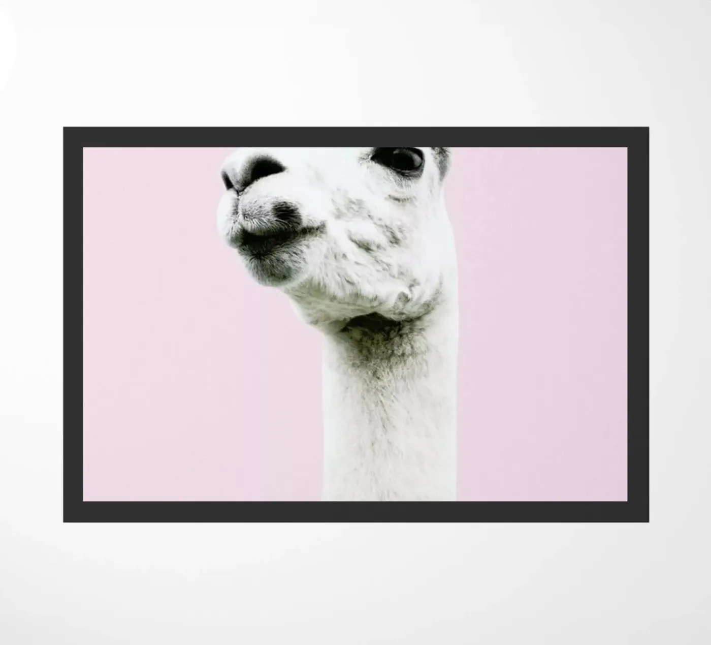 Pink Llama zerbino da Victoria Frost