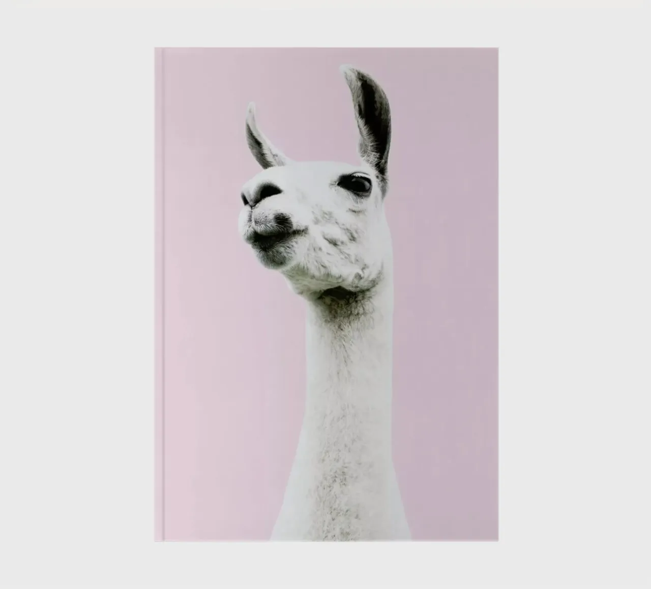 Pink Llama notebook by Victoria Frost