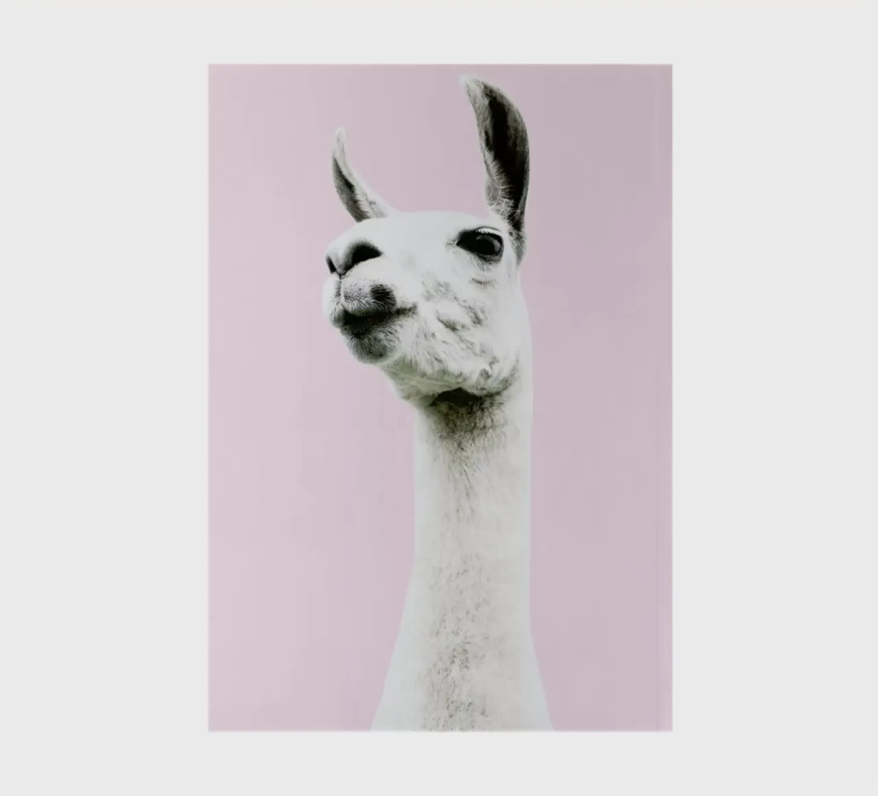 Pink Llama notebook by Victoria Frost