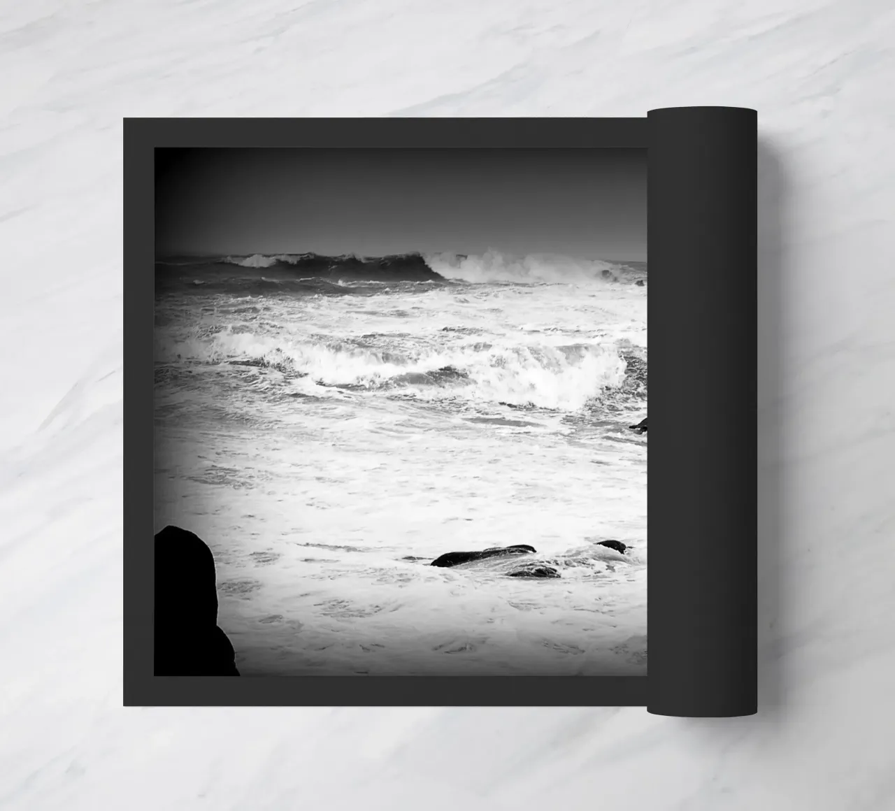 BW34 zerbino da Thierry vobmann photography