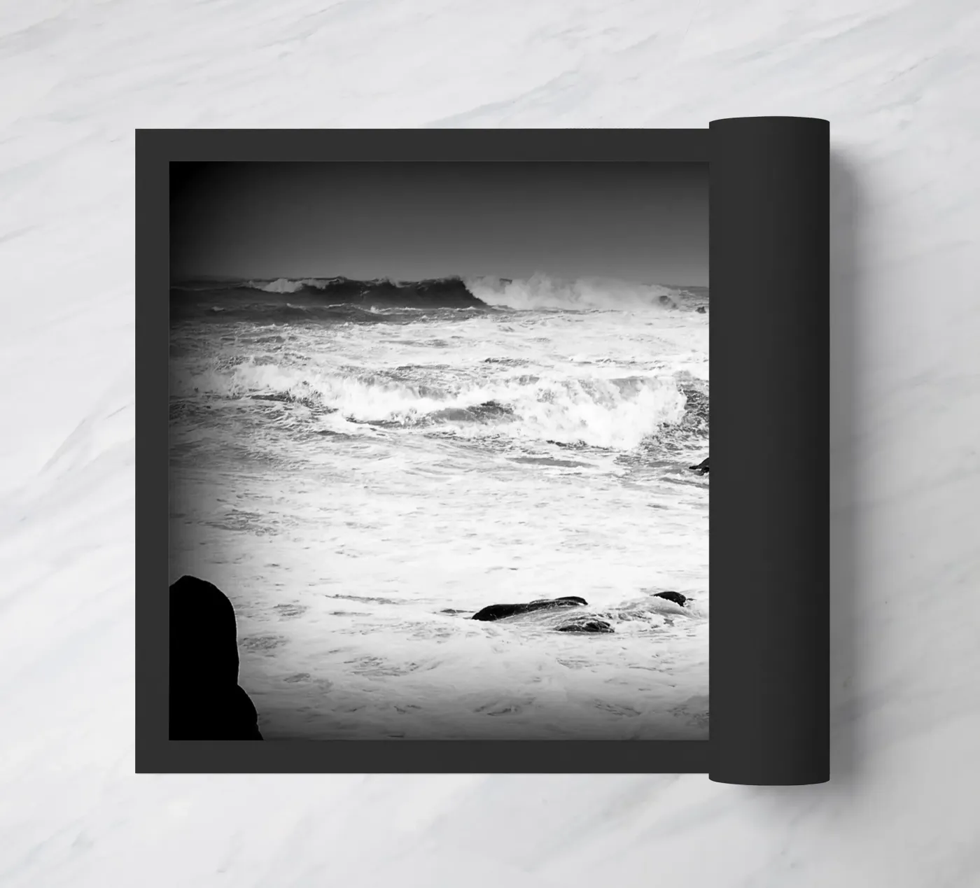 BW34 zerbino da Thierry vobmann photography