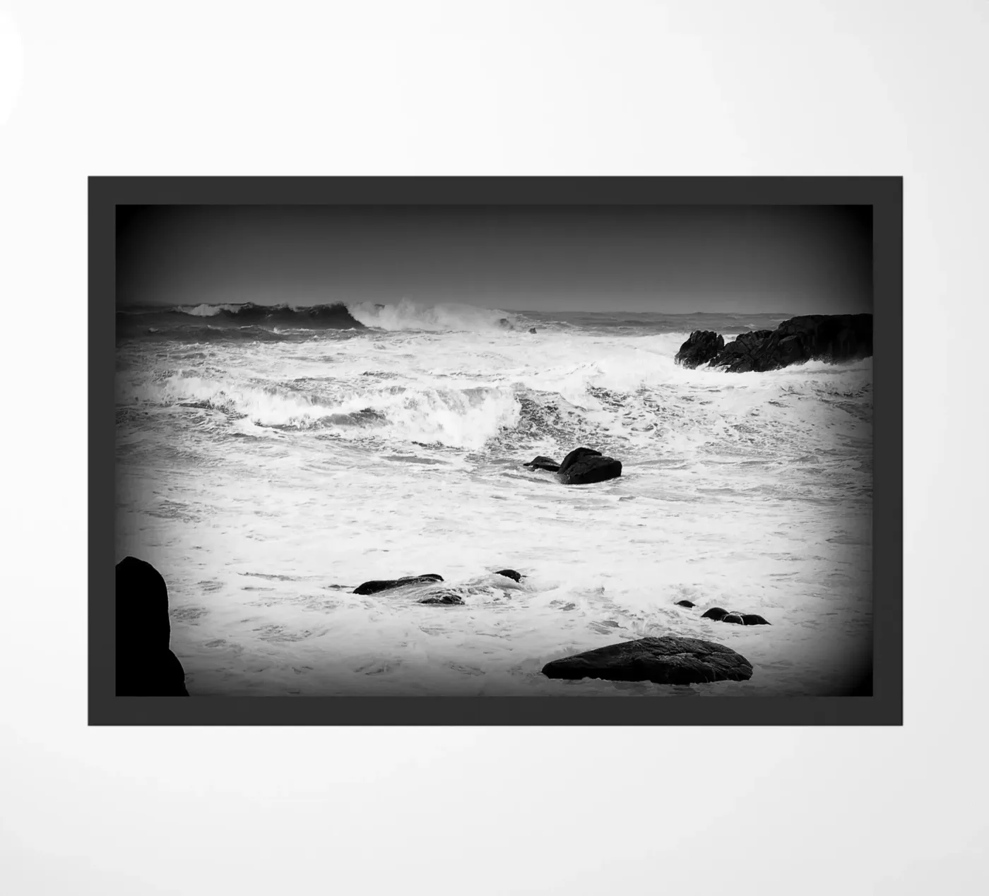 BW34 zerbino da Thierry vobmann photography