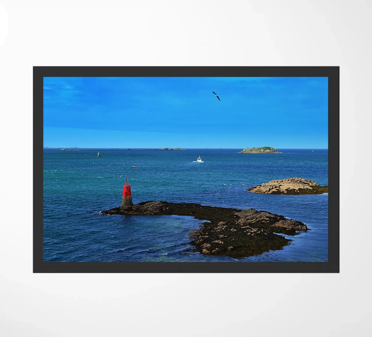 FAA226 zerbino da Thierry vobmann photography